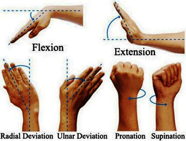 فیزیوتراپی مچ دست